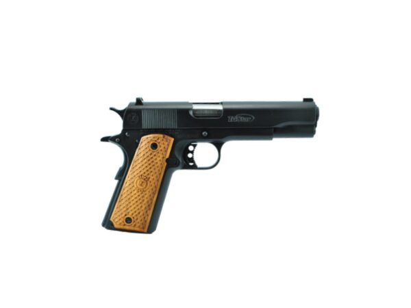 GOVERNMENT 1911 45ACP BLUE 8+1